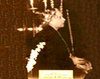 Sfantul Mormant - Olga Greceanu