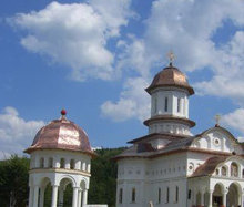 Manastirea Cartisoara