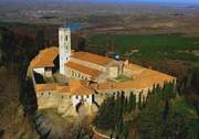 Manastirea Ardenica