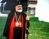 IPS Antonie Plamadeala