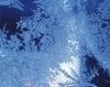 Decembrie