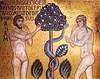 Lacrima caintei