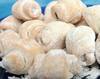Cornulete fragede cu halva sau rahat