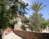Manastirea Faran - Sinai