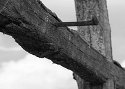 Rastignirea - Crucificarea