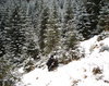 Mostenirea pustnicului