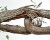 Depasirea crizei in sapte pasi