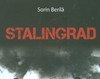 Recenzie: Stalingrad - o poveste romaneasca spusa de veteranul Nica Paiu