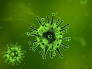 Coronavirus - razboi fara nume, inamic fara chip