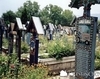Cimitirul Vesel Sapanta 