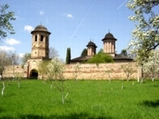 Manastirea Brebu