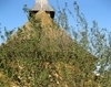 Schitul Sfantul Fanurie din Silistea Gumesti 