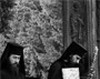 Dimensiunea vindecatoare a monahismului