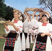 Imagini de colinda in cantecul ceremonial de secera