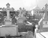 Locuri de veci in Cimitirul Ungureni