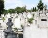 Vand 2 locuri de veci in Cimitirul Iancu Nou
