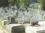 Vand loc de veci la cimitirul central Constanta