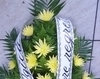 Jerba crizanteme galbene