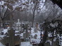 Vand loc de veci Cimitirul Bolovani Ploiesti