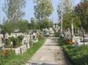 Loc de veci cimitirul Tudor Vladimirescu, la Tacerii Antiaeriana