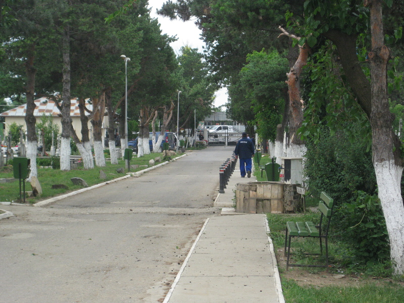 Vind loc de veci cimitirul Straulesti 2