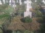 Vand 2 locuri de veci nefolosite in cimitirul Sarindar Giulesti
