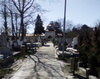 Vand 2 locuri de veci in cimitirul Bucurestii Noi, zona centrala, cu soclu.