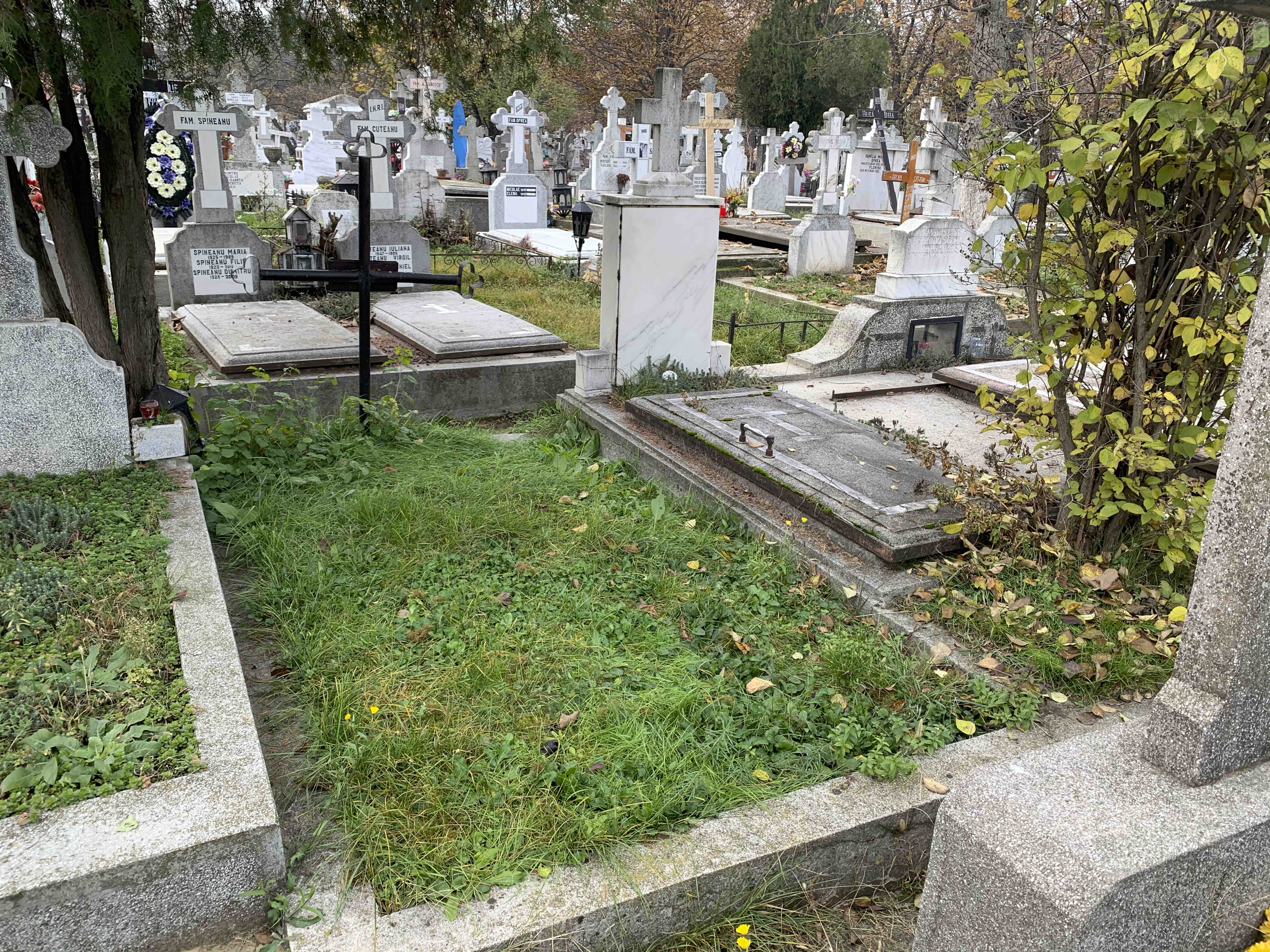 3 locuri de veci în cimitirul Bucureștii Noi