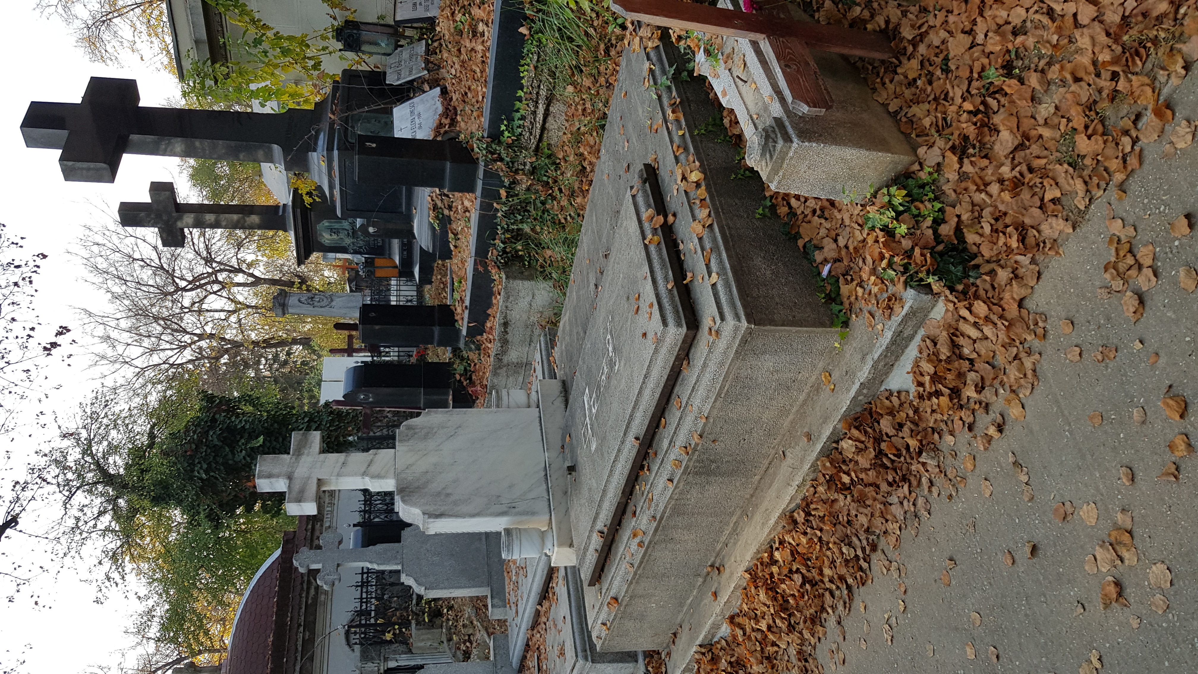 Loc de veci in Cimitirul Bellu