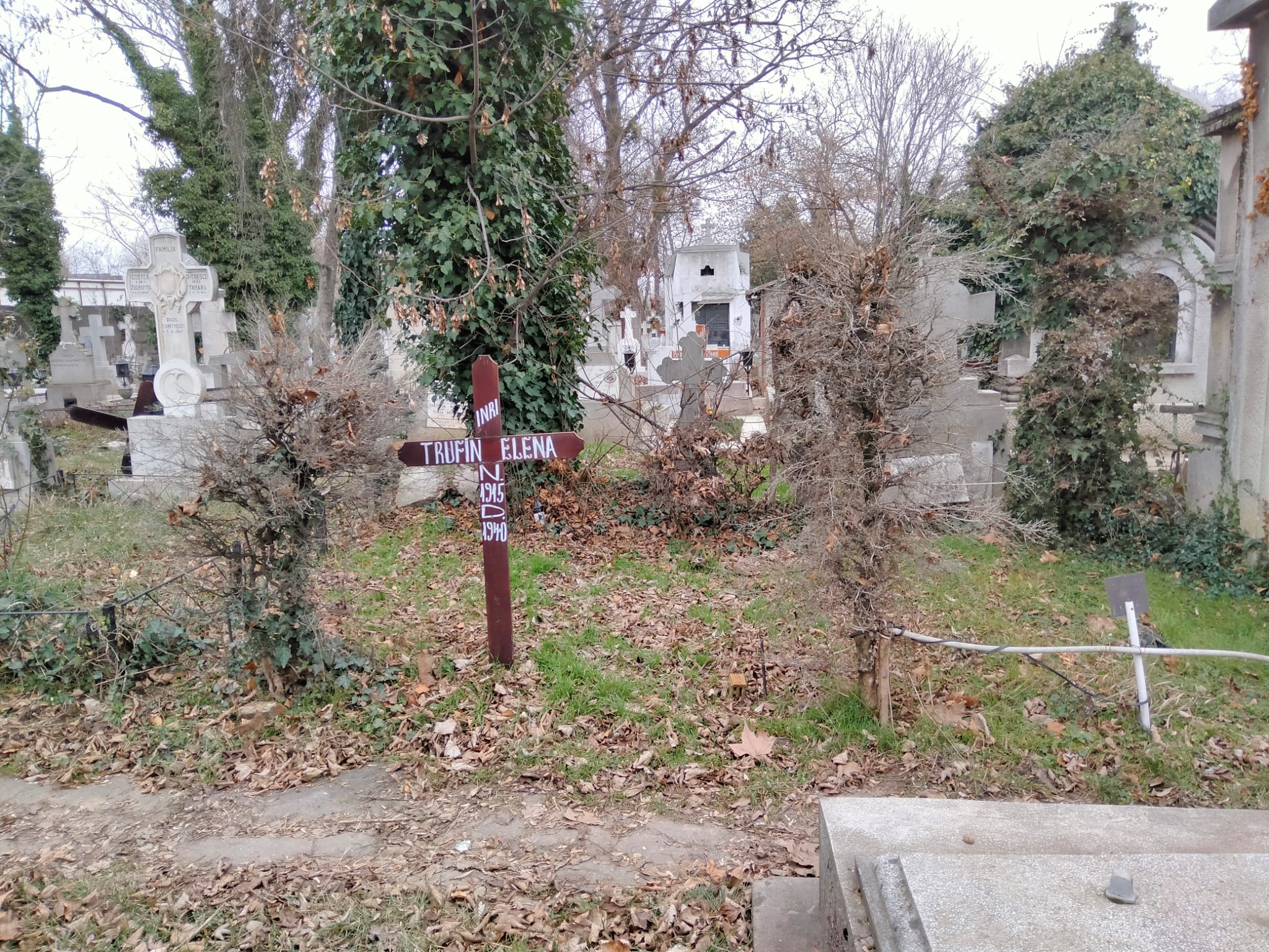 Loc de veci Cimitirul Bellu