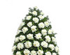 Coroana crizanteme albe
