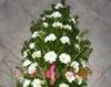 Coroana funerara din crizanteme albe si cale visinii